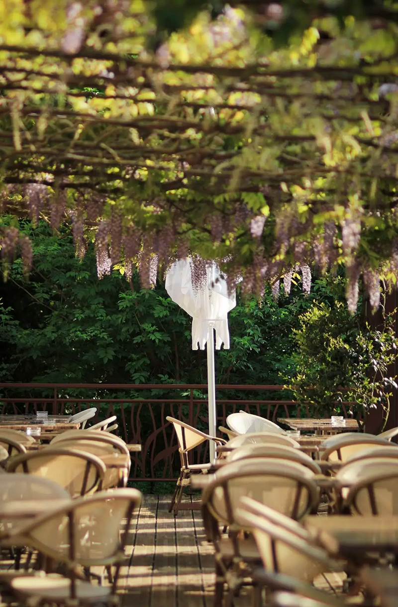 Sous la glycine en terrasse